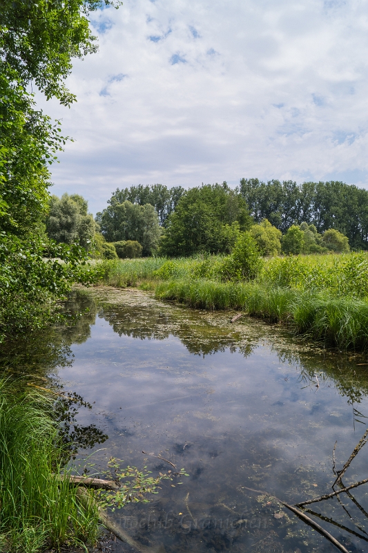 Wasserlandschaft 2.jpg